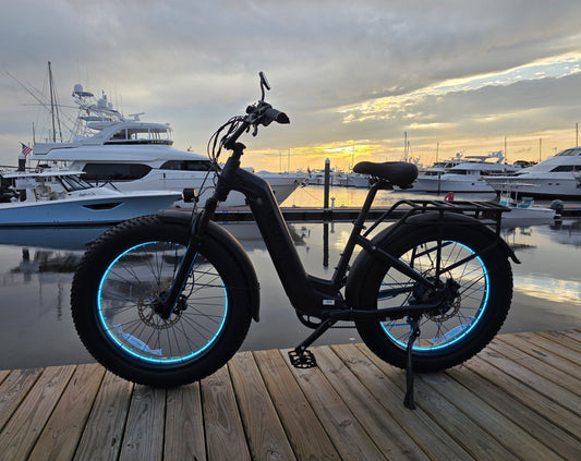 Double Strip EBIKE Wheel Lights
