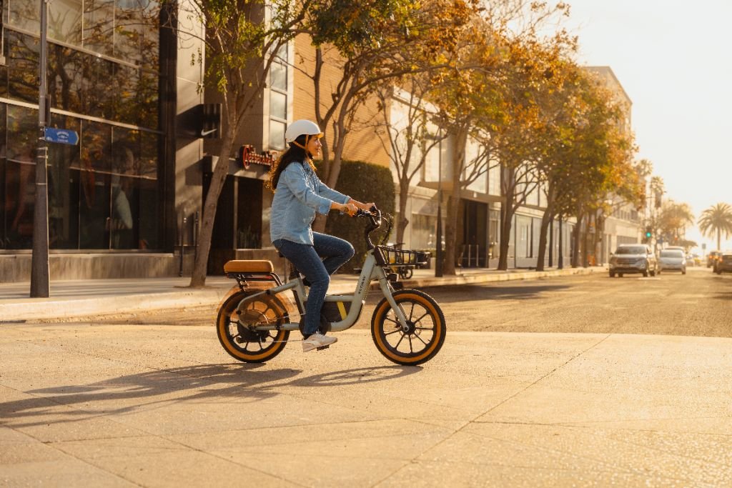 Segway Muxi
