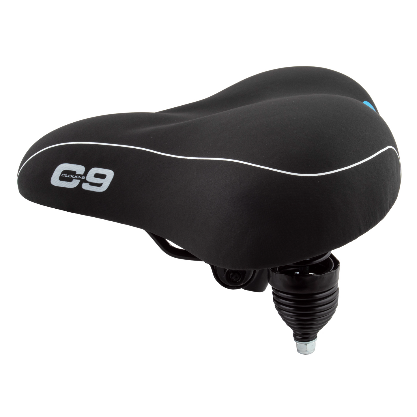 CLOUD-9 Cruiser Anatomic