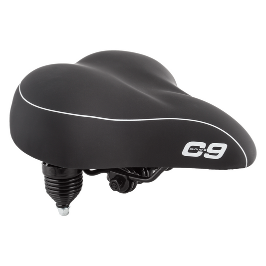 CLOUD-9 Cruiser Anatomic