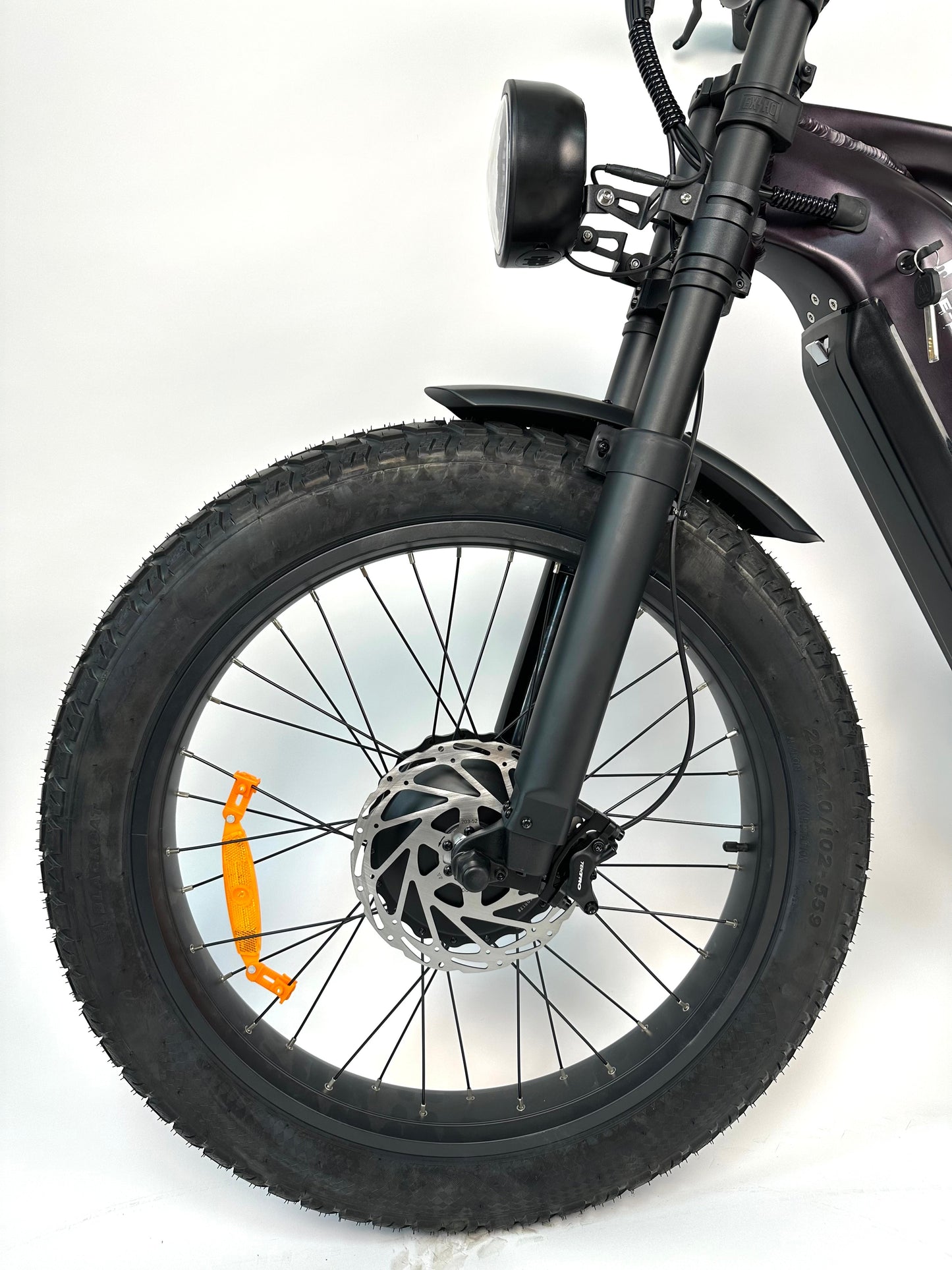 Rabid "The Rottie" E-Bike