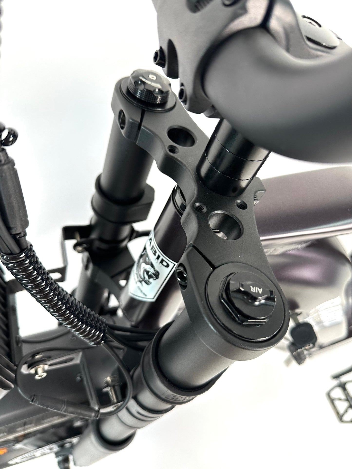 Rabid "The Rottie" E-Bike