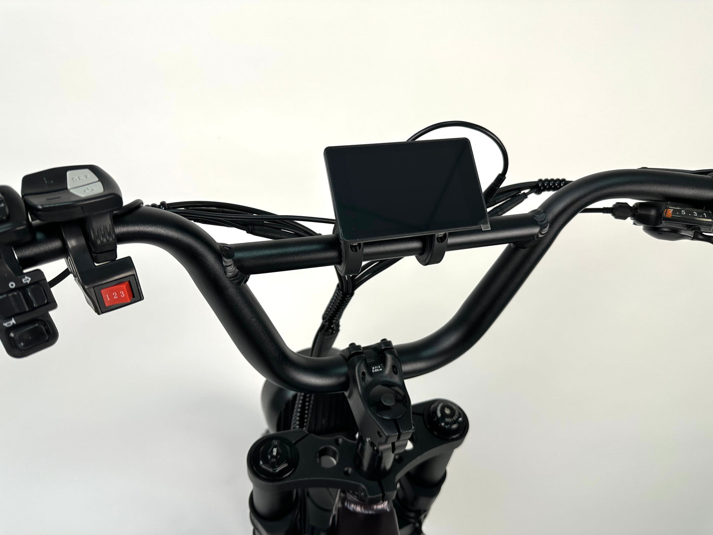 Rabid "The Rottie" E-Bike