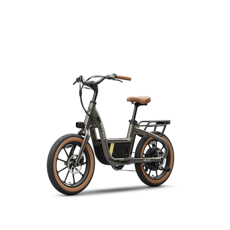 Segway Muxi