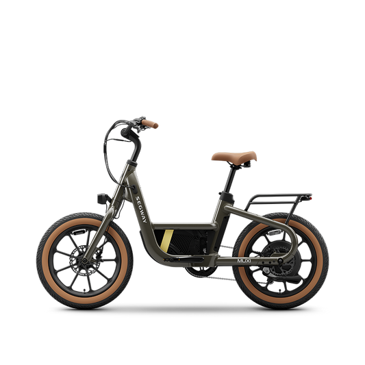 Segway Muxi