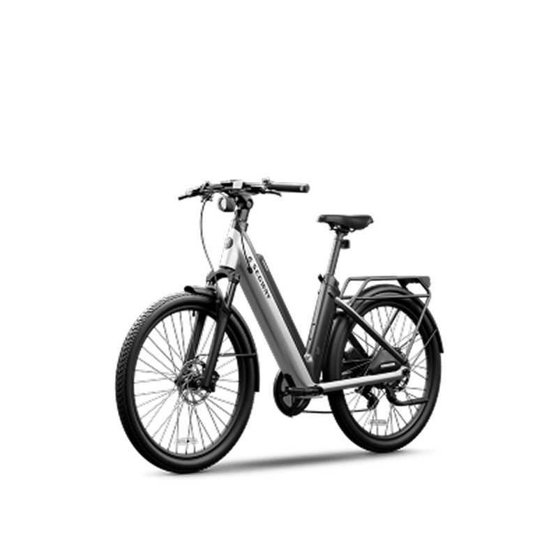 Segway Myon